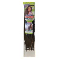 2X HAVANA MAMBO TWIST BRAID 24 Inch #2 Black brown
