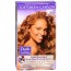 Dark & Lovely Hair Colour / Kleurspoeling shampoo Ladies Golden Bronze(379
