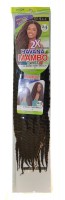 2X HAVANA MAMBO TWIST BRAID 24 Inch #2 Black brown